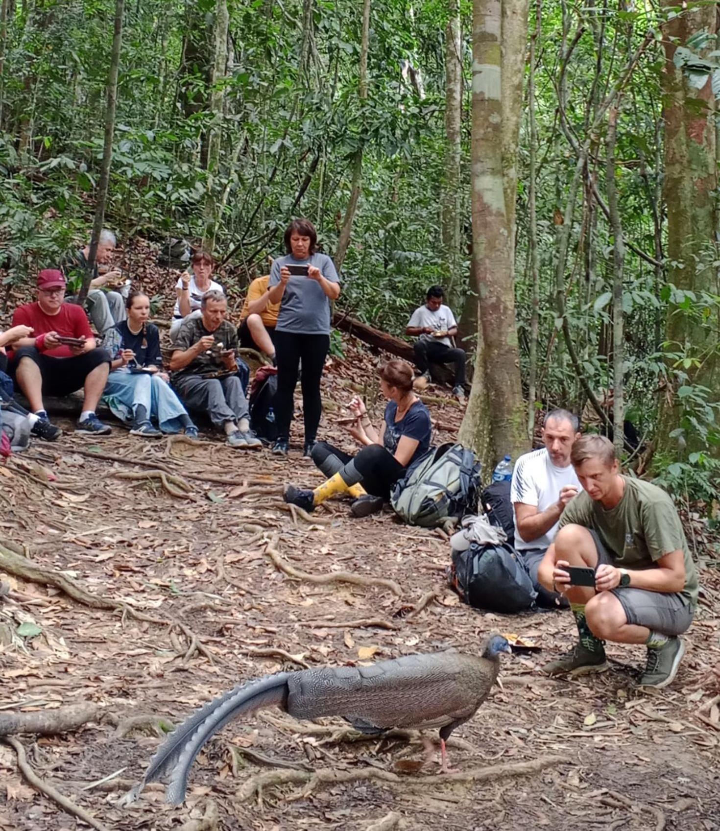 Sama Sama Homestay & Trekking Only Stay Here Book Trekking And Transport With Us ブキットラワン エクステリア 写真
