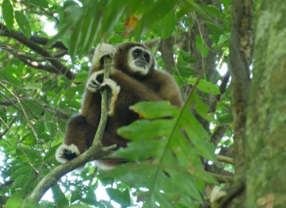 Sama Sama Homestay & Trekking Only Stay Here Book Trekking And Transport With Us ブキットラワン エクステリア 写真