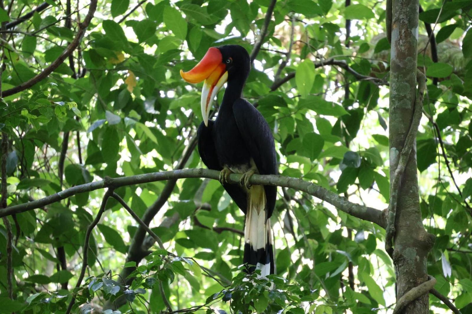 Sama Sama Homestay & Trekking Only Stay Here Book Trekking And Transport With Us ブキットラワン エクステリア 写真