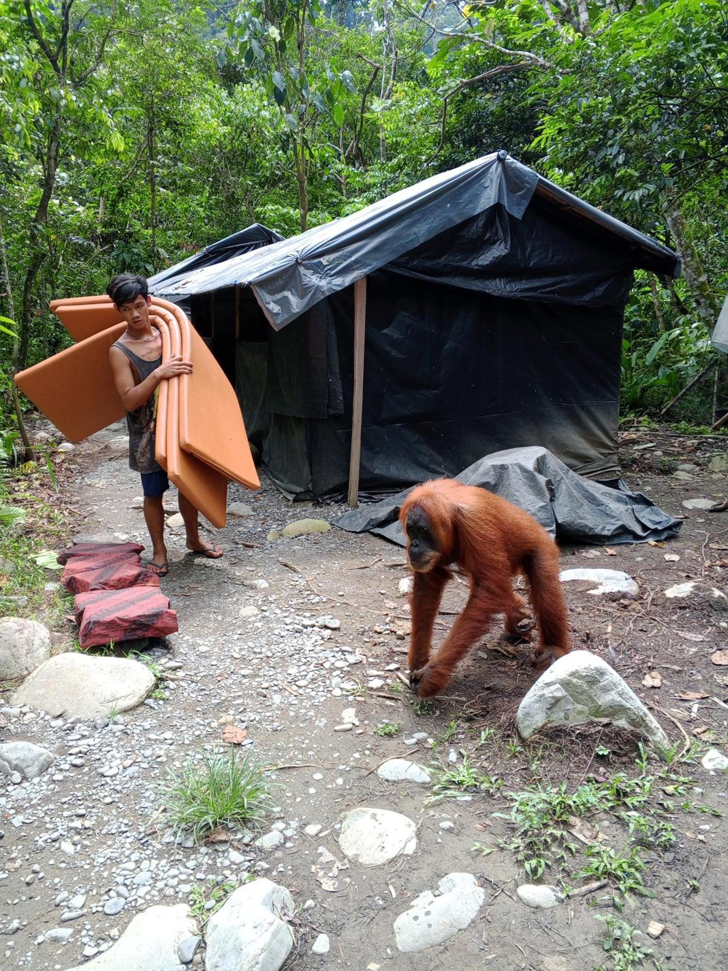 Sama Sama Homestay & Trekking Only Stay Here Book Trekking And Transport With Us ブキットラワン エクステリア 写真