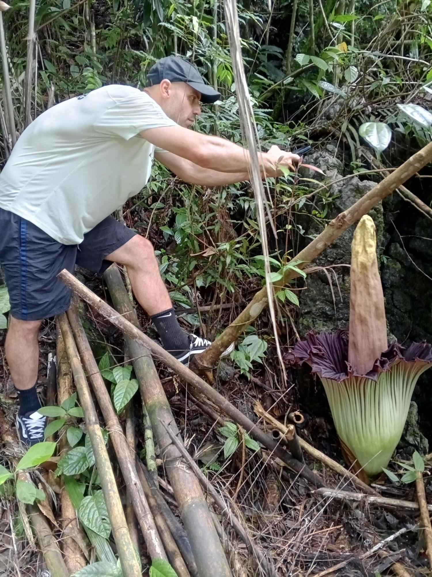 Sama Sama Homestay & Trekking Only Stay Here Book Trekking And Transport With Us ブキットラワン エクステリア 写真