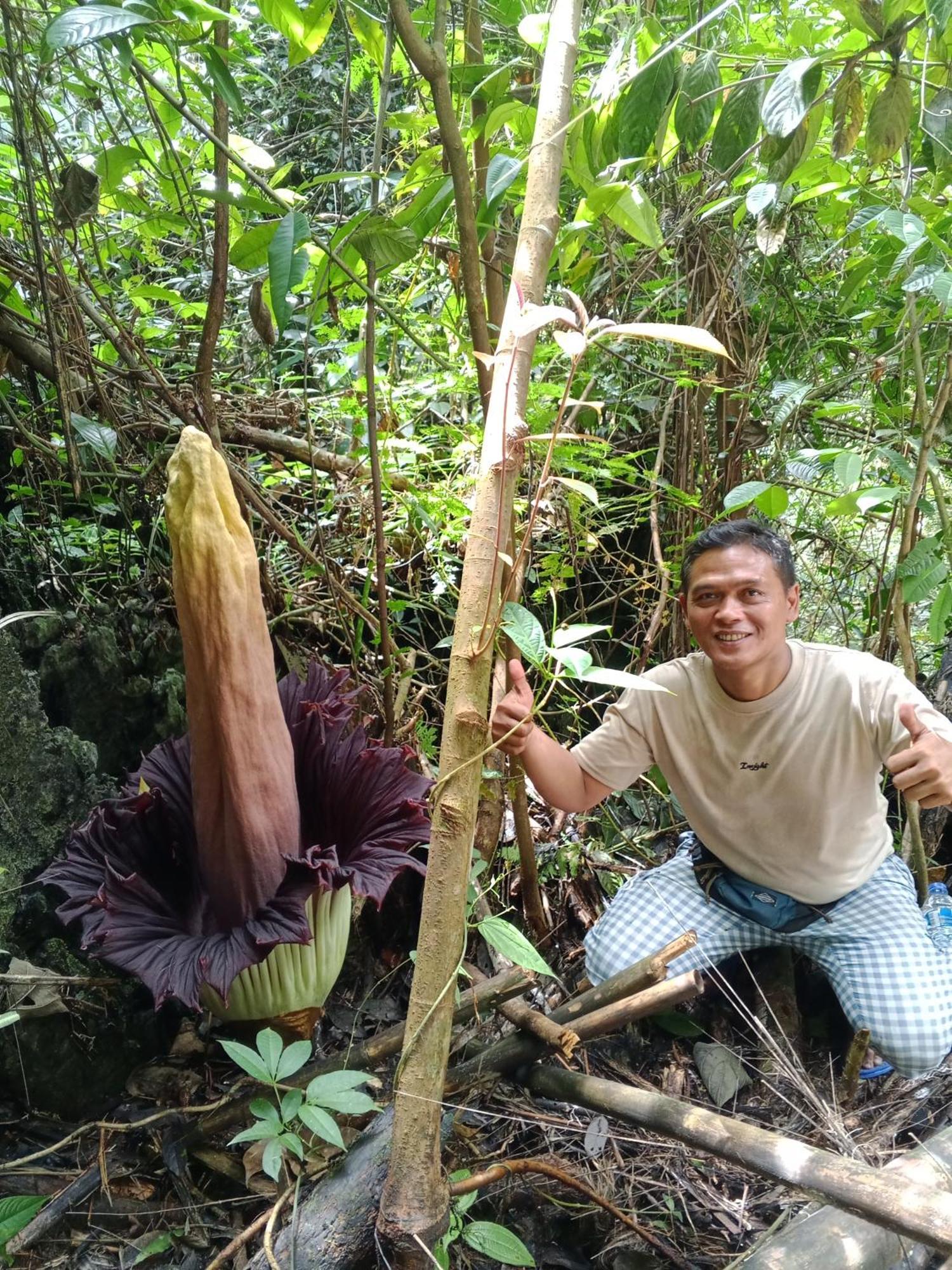 Sama Sama Homestay & Trekking Only Stay Here Book Trekking And Transport With Us ブキットラワン エクステリア 写真